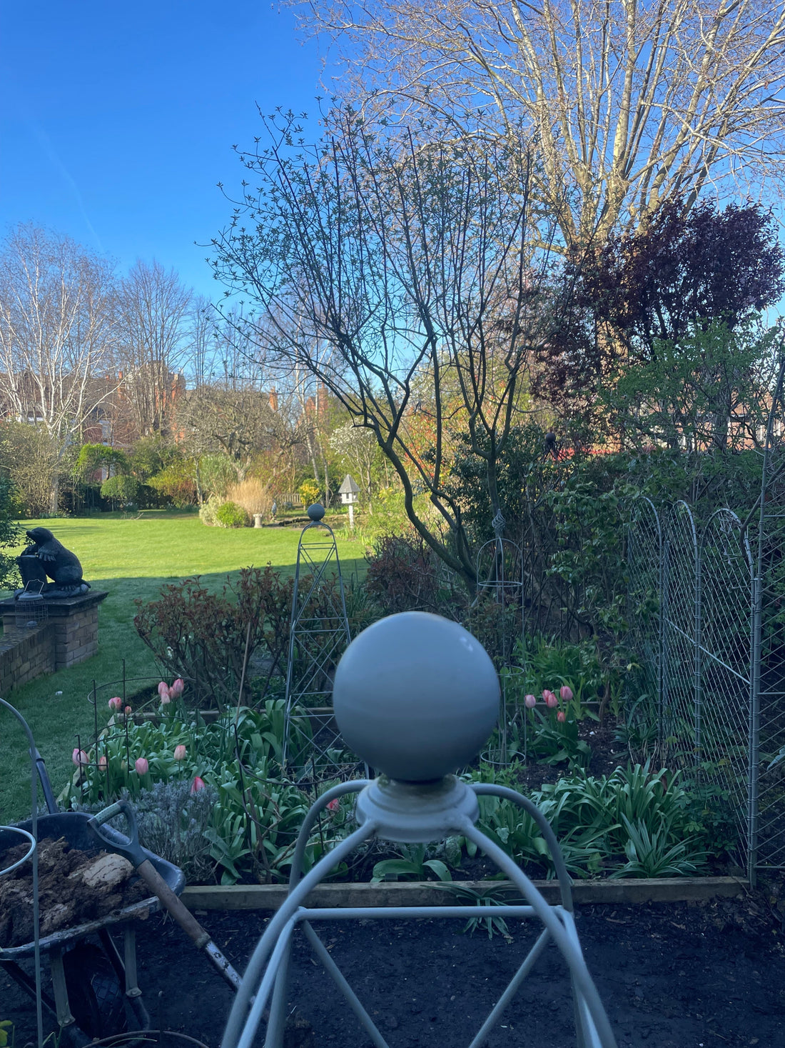 How Installing a Root Barrier Can Help Control Honey Fungus in Your Garden
