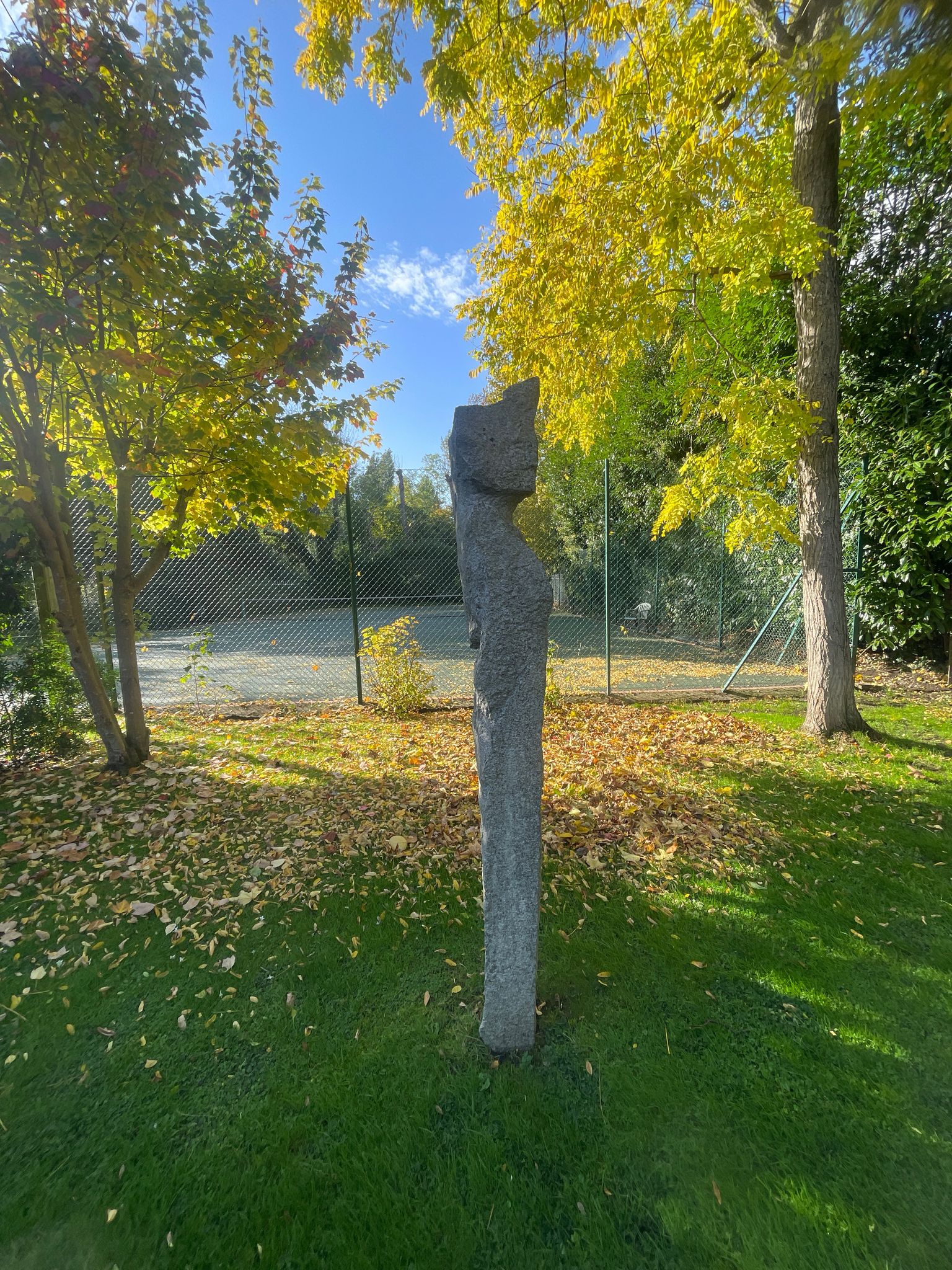 Professional garden clearance focusing on spatial clarity. Holmes Gardens provides meticulous site preparation and sensitive restoration, ensuring that artistic focal points and structural integrity are preserved for future landscape development.