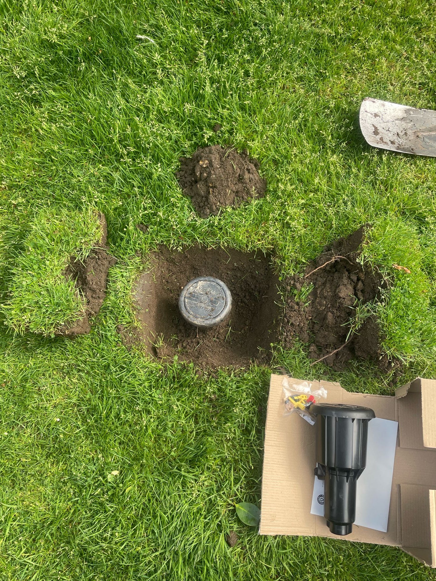 Professional installation of an automated irrigation sprinkler head by Holmes Gardens. Our precision-engineered watering systems ensure optimal horticultural health with minimal disruption to your established London lawn.