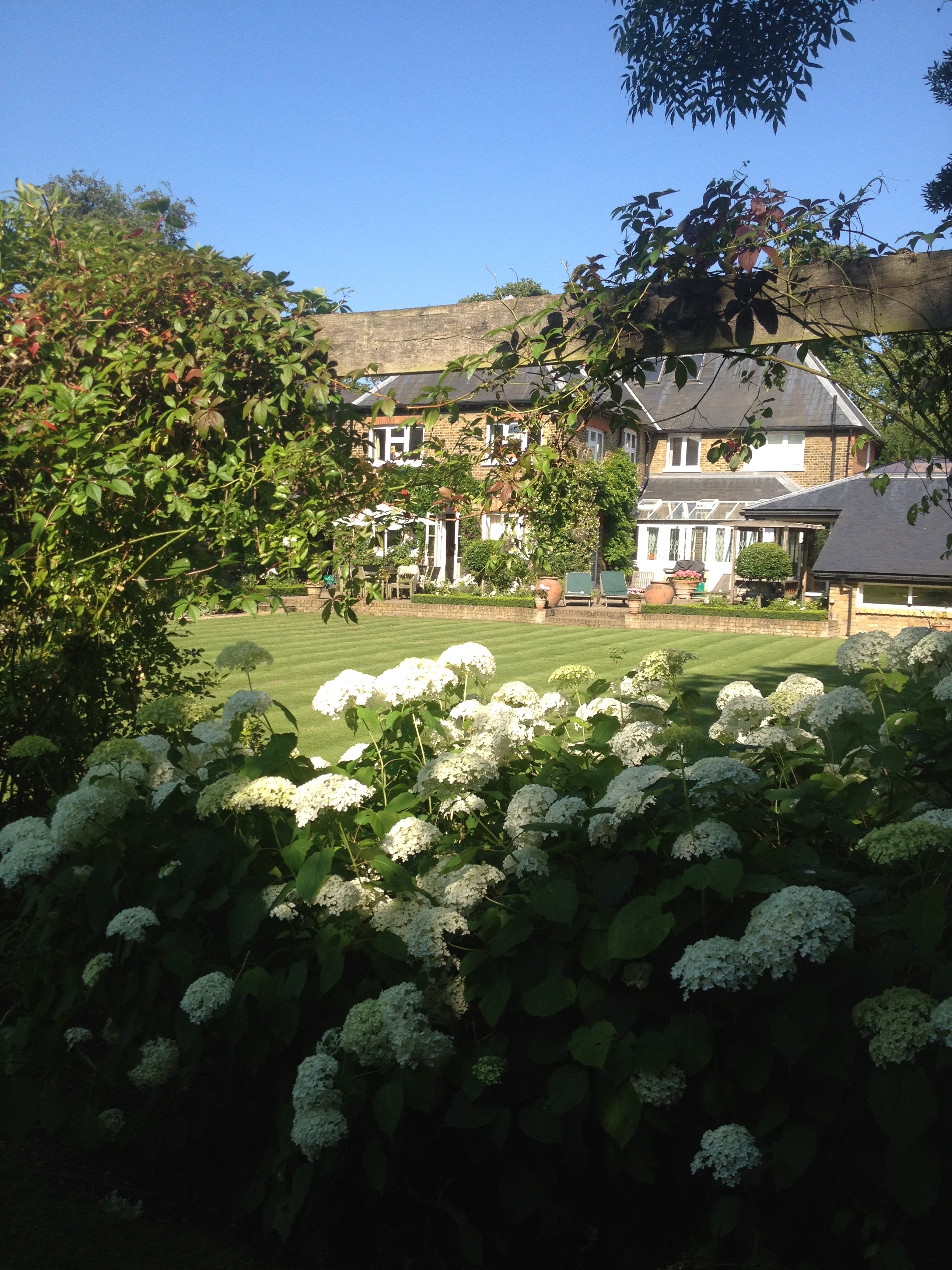 Comprehensive estate clearance and landscape revitalization for a period London home. We reveal the hidden potential of your outdoor space through expert pruning and debris removal, restoring the view between architecture and nature.