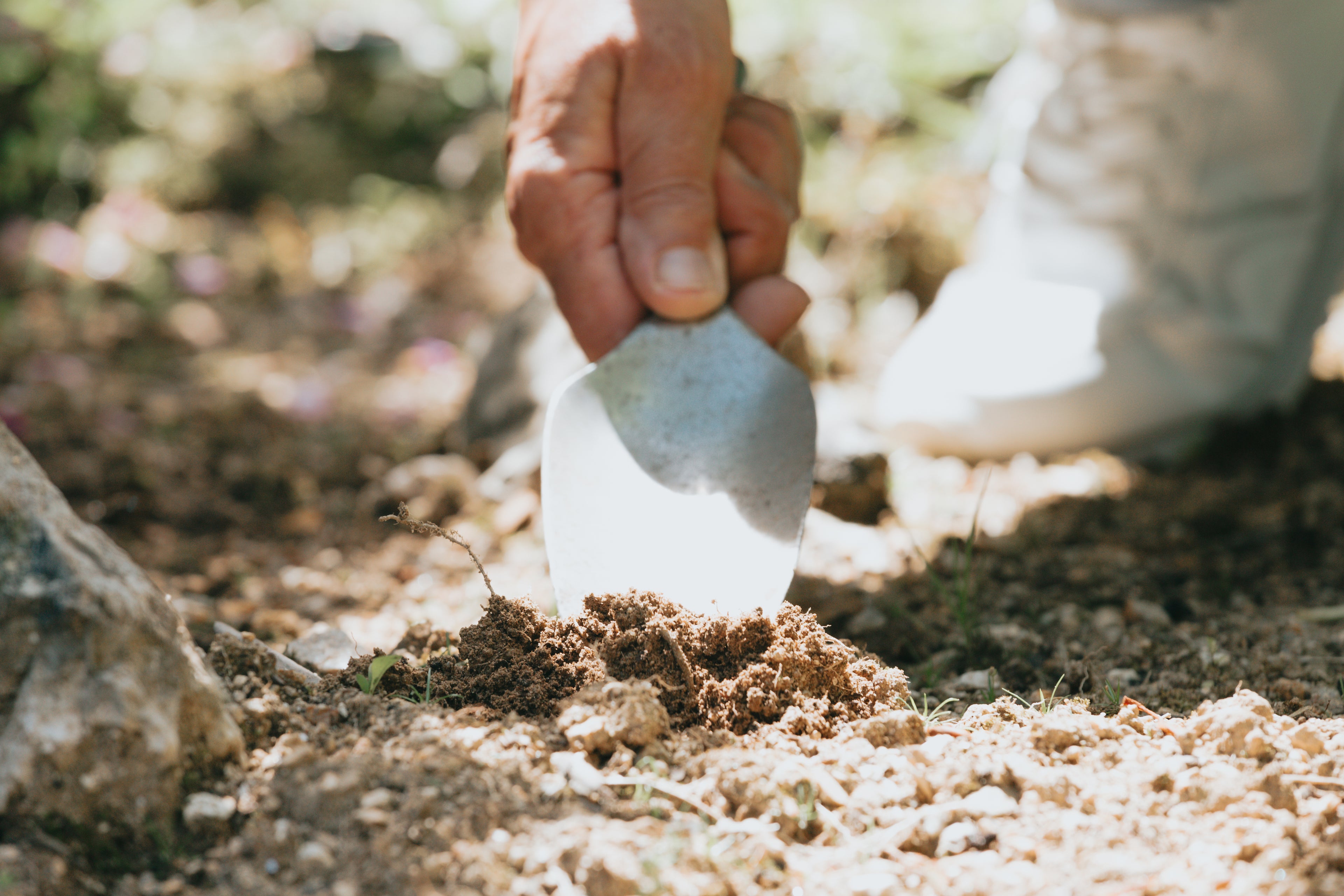 Professional soil conditioning for London gardens. Holmes Gardens focuses on improving clay structures and drainage, creating the essential foundation for a sustainable and thriving landscape build.