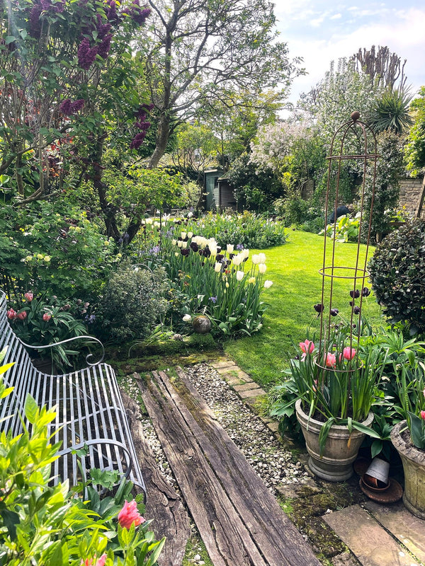 Garden with a variety of plants, flowers, and a wooden path.