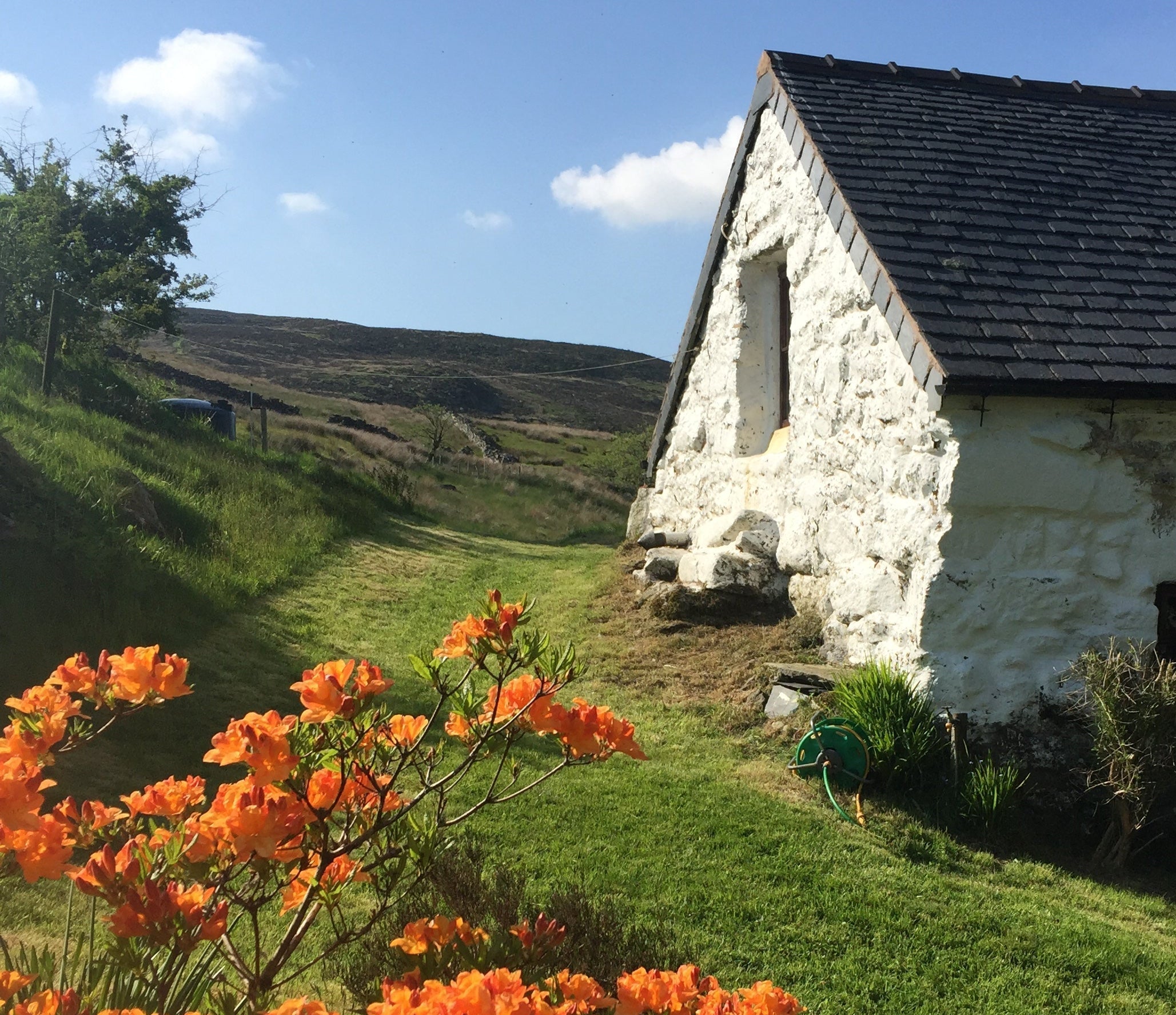 Holmes Gardens’ landscape inspiration: The rugged, natural beauty and authentic stonework of Snowdonia, Wales. We apply this painterly eye and understanding of materiality to bespoke garden build and horticultural design projects across Chelsea and Dulwich, London.